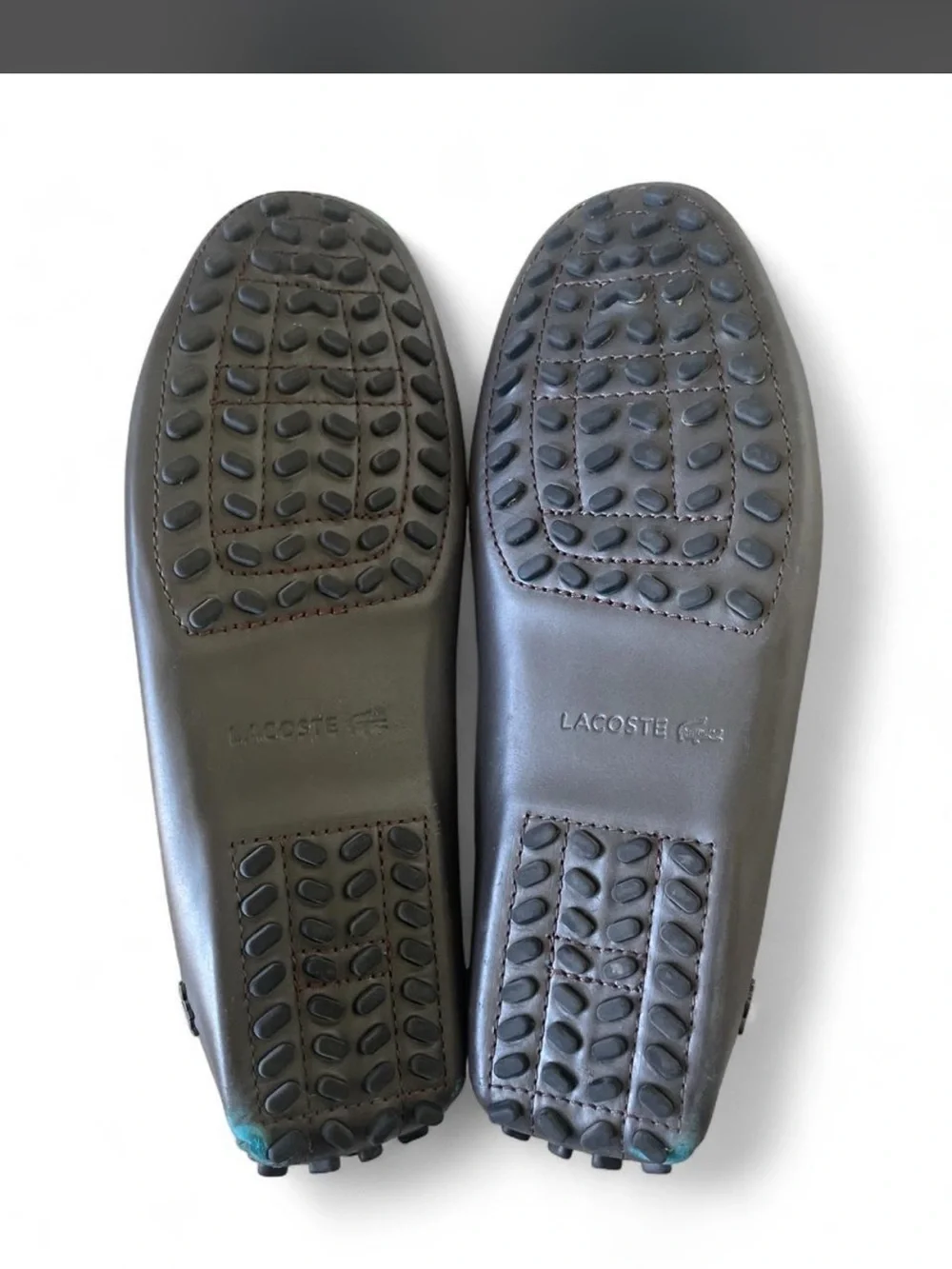 Lacoste Men's Dark Brown Leather Penny Loafers with Teal Stitching